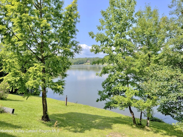 50 Manhattoes Dr, Athens, NY 12015 - water view