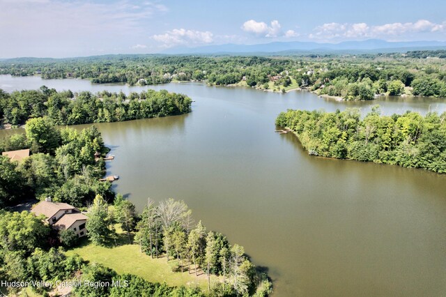 50 Manhattoes Dr, Athens, NY 12015 - aerial view of a forest and a large body of water