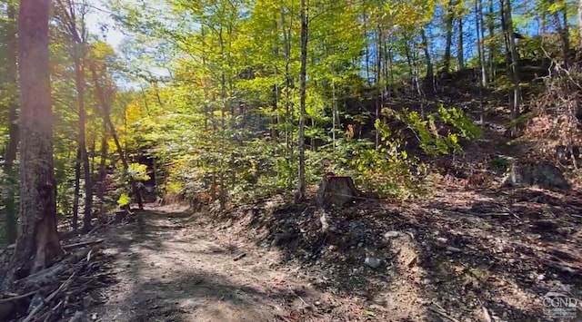 0-L15 Gorge Rd, Middleburgh, NY 12122