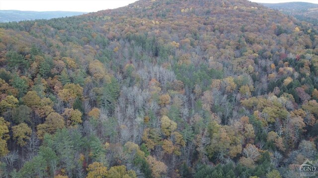 0-L15 Gorge Rd, Middleburgh, NY 12122