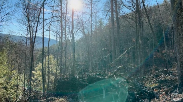 0-L15 Gorge Rd, Middleburgh, NY 12122