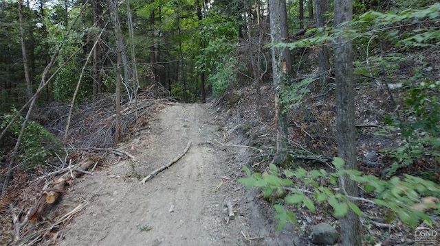 0-L15 Gorge Rd, Middleburgh, NY 12122