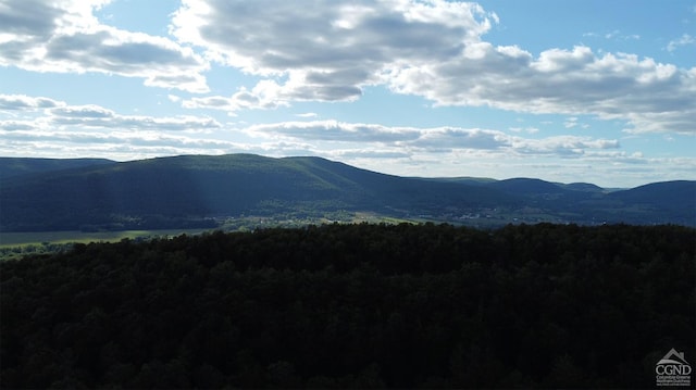 0-L15 Gorge Rd, Middleburgh, NY 12122