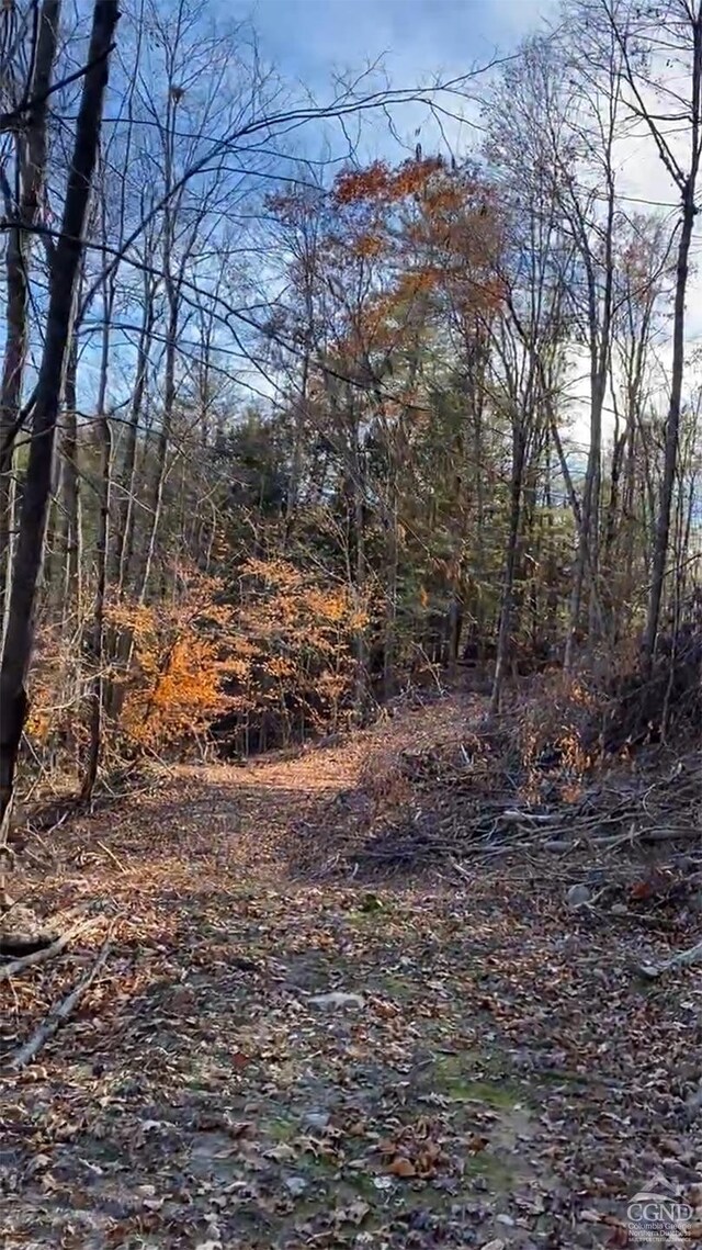 0-L15 Gorge Rd, Middleburgh, NY 12122
