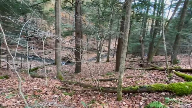0-L15 Gorge Rd, Middleburgh, NY 12122