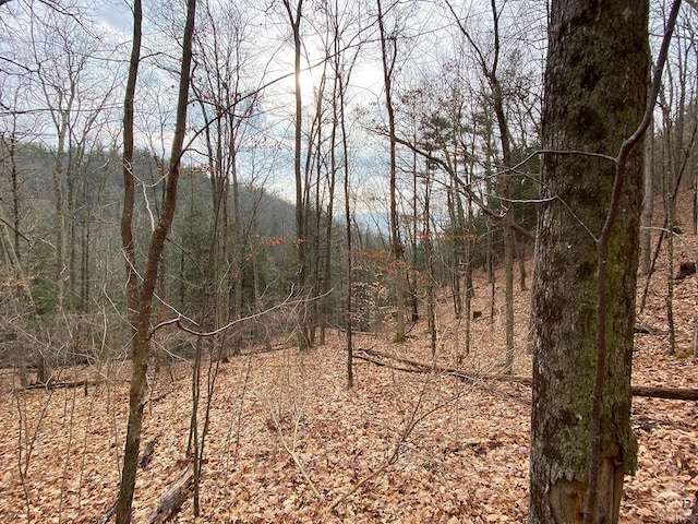 0-L15 Gorge Rd, Middleburgh, NY 12122