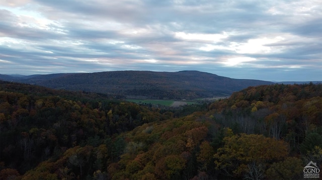 0-L15 Gorge Rd, Middleburgh, NY 12122