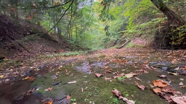0-L15 Gorge Rd, Middleburgh, NY 12122