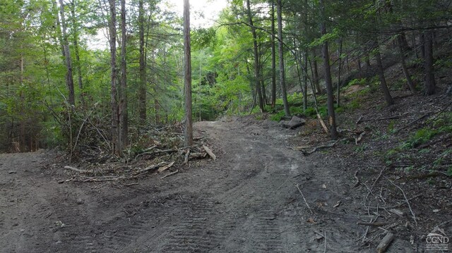 0-L15 Gorge Rd, Middleburgh, NY 12122