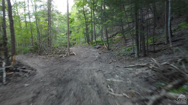 0-L15 Gorge Rd, Middleburgh, NY 12122