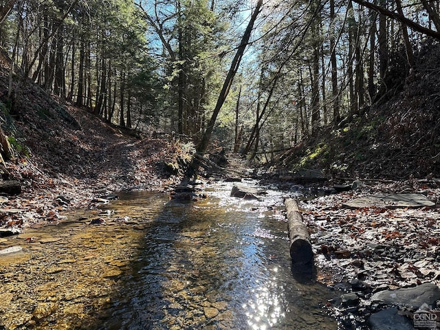 0-L15 Gorge Rd, Middleburgh, NY 12122