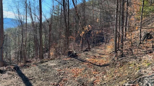 0-L15 Gorge Rd, Middleburgh, NY 12122