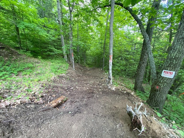 0-L15 Gorge Rd, Middleburgh, NY 12122