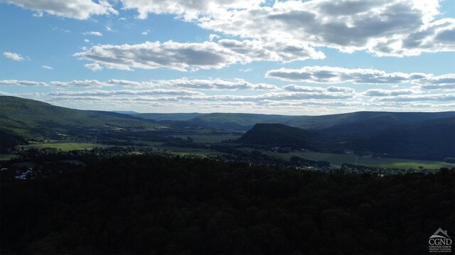 0-L15 Gorge Rd, Middleburgh, NY 12122
