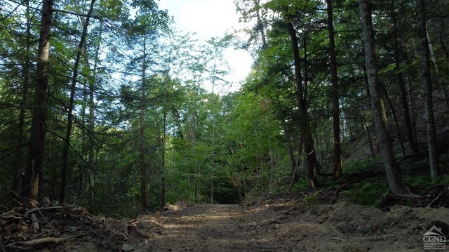 0-L15 Gorge Rd, Middleburgh, NY 12122