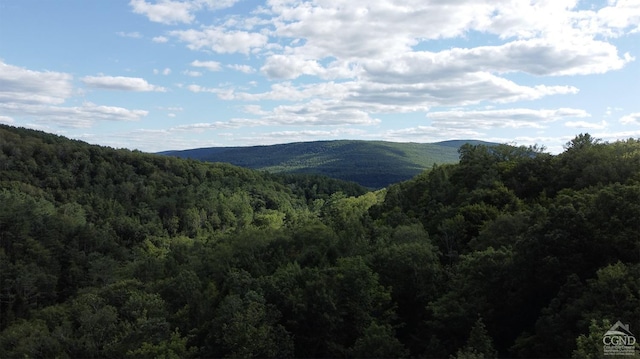 0-L15 Gorge Rd, Middleburgh, NY 12122