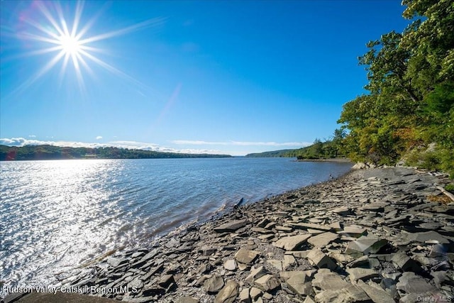 property view of water