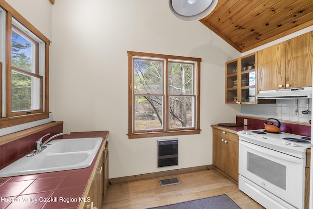 kitchen featuring under cabinet range hood, vaulted ceiling, visible vents, electric stove, and a sink