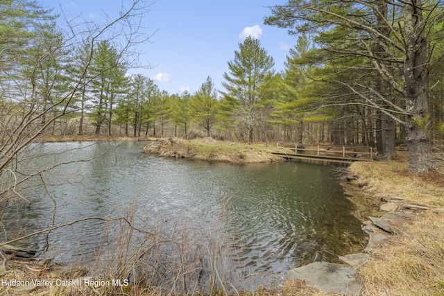 property view of water featuring a wooded view