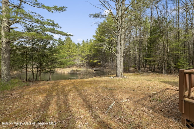 view of yard featuring a wooded view