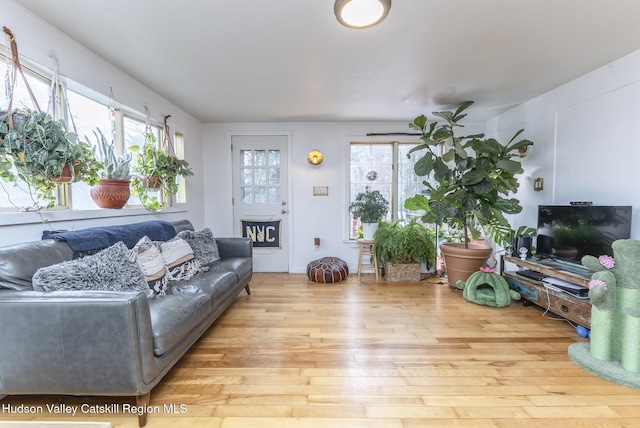 living area featuring wood finished floors