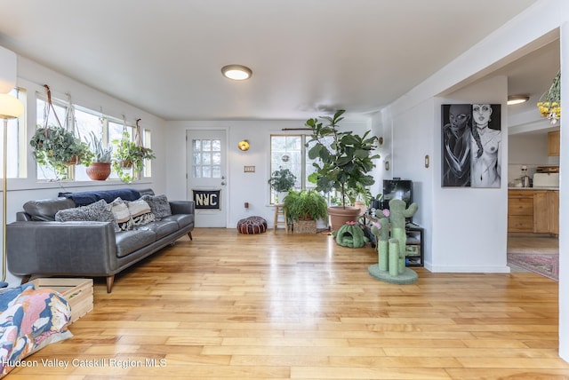 living room with light wood-type flooring