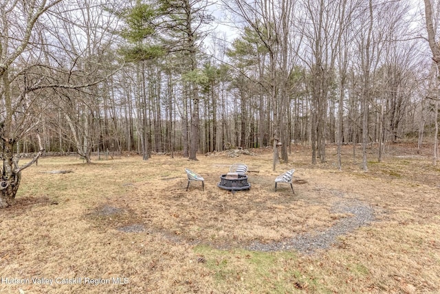 view of yard with a fire pit