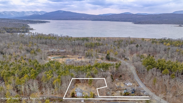 bird's eye view featuring a water and mountain view