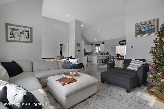 living room featuring high vaulted ceiling