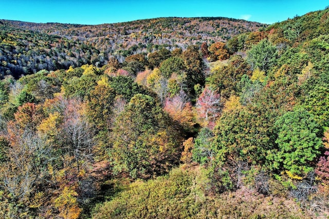 568 State Route 145, Middleburgh, NY 12122 - view of mountain backdrop featuring a forest