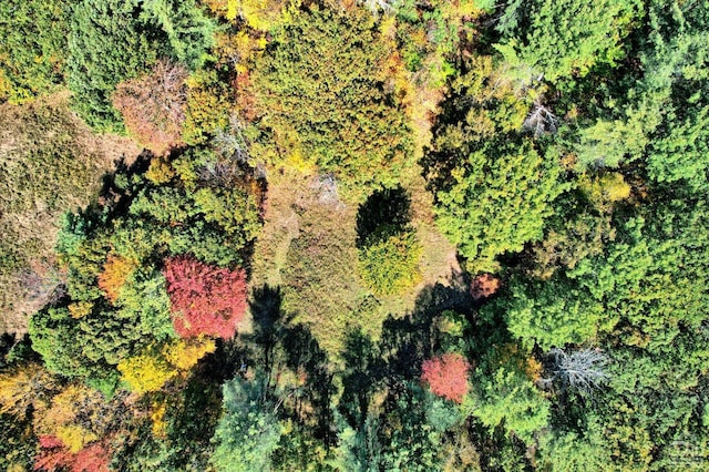 568 State Route 145, Middleburgh, NY 12122 - drone / aerial view