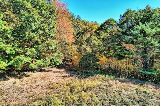 568 State Route 145, Middleburgh, NY 12122 - view of wooded area
