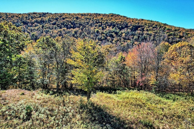568 State Route 145, Middleburgh, NY 12122 - mountain view featuring a heavily wooded area