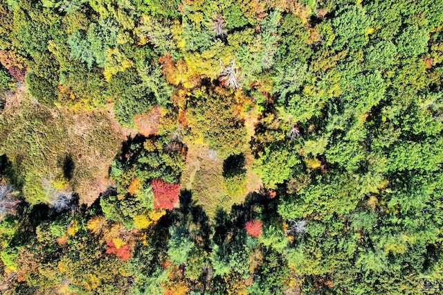 568 State Route 145, Middleburgh, NY 12122 - drone / aerial view