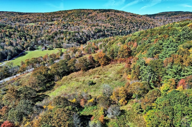 568 State Route 145, Middleburgh, NY 12122 - mountain view with a heavily wooded area