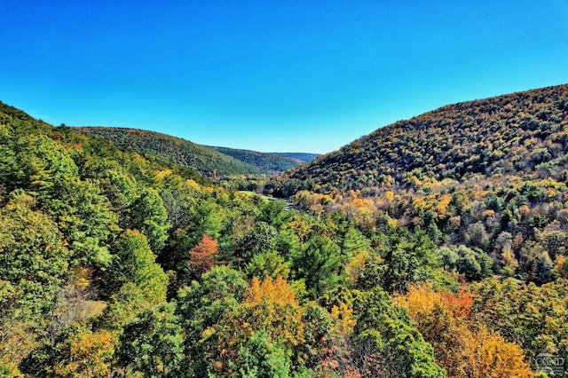 568 State Route 145, Middleburgh, NY 12122 - view of mountain backdrop with a heavily wooded area