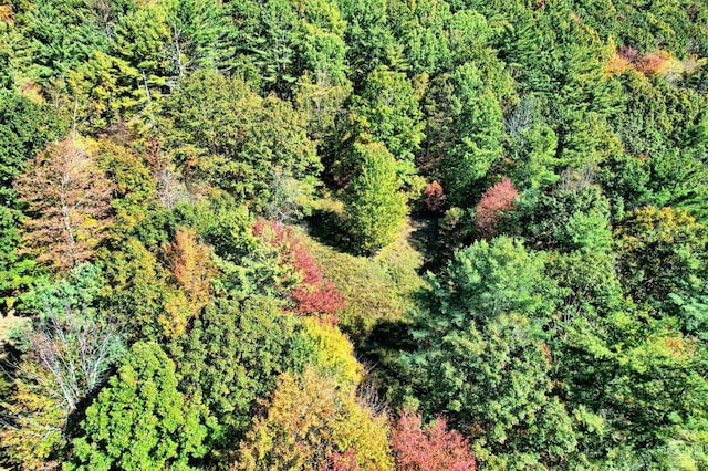 568 State Route 145, Middleburgh, NY 12122 - bird's eye view of a forest