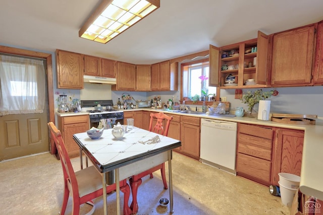 568 State Route 145, Middleburgh, NY 12122 - kitchen with white dishwasher, gas stove, under cabinet range hood, and light countertops