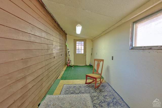568 State Route 145, Middleburgh, NY 12122 - doorway featuring vaulted ceiling, wooden walls, a textured ceiling, and carpet floors
