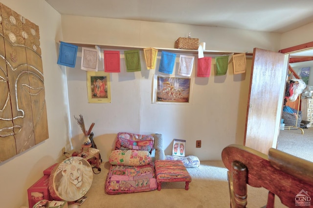 568 State Route 145, Middleburgh, NY 12122 - bedroom featuring carpet
