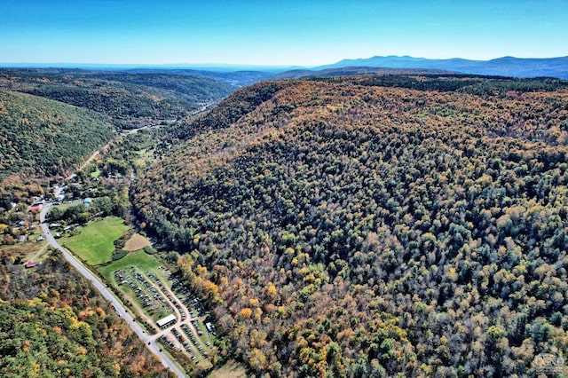 568 State Route 145, Middleburgh, NY 12122 - view of property location with a mountain backdrop