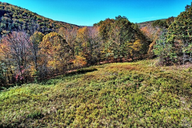 568 State Route 145, Middleburgh, NY 12122 - mountain view featuring a forest