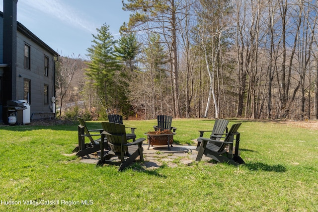 2312 Rte 42, West Kill, NY 12492 - photo 37