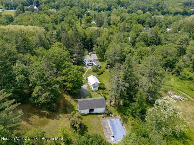 21 Cemetery Rd, New Lebanon, NY 12125 - view of property location featuring a heavily wooded area