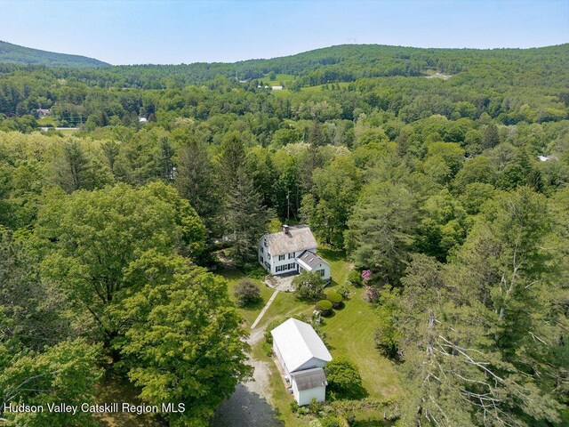 21 Cemetery Rd, New Lebanon, NY 12125 - view of property location featuring a heavily wooded area