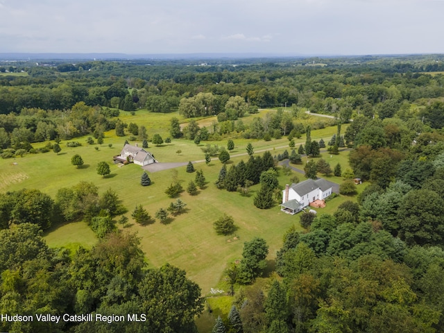 368 Gahbauer Rd, Hudson, NY 12534 - overview of rural landscape with a forest