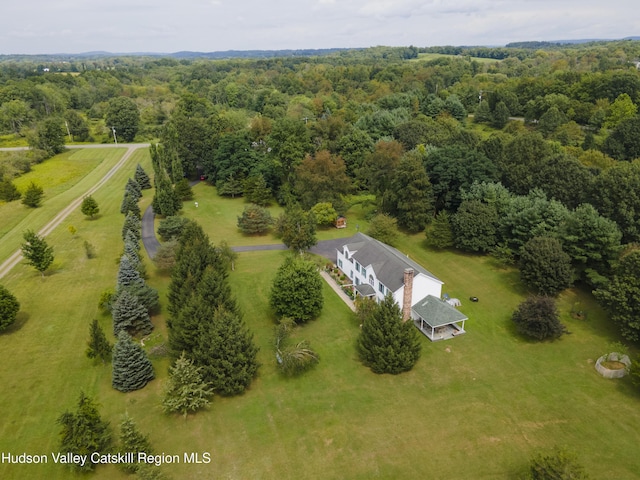 368 Gahbauer Rd, Hudson, NY 12534 - aerial view of property and surrounding area featuring a forest