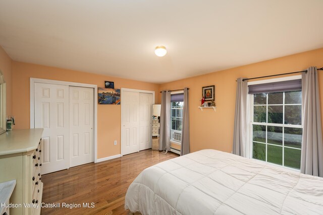 368 Gahbauer Rd, Hudson, NY 12534 - bedroom with wood finished floors, multiple windows, two closets, and a baseboard heating unit