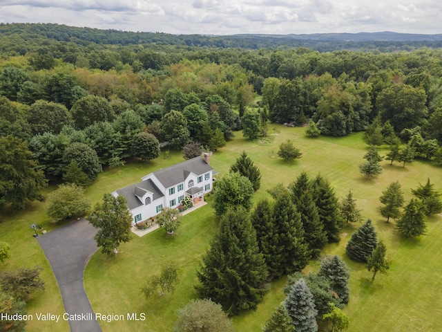 368 Gahbauer Rd, Hudson, NY 12534 - view of subject property featuring a forest