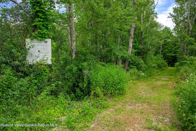 19 Lovers Ln, New Lebanon, NY 12125 - photo 12